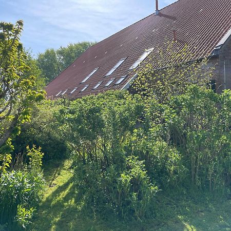 Ferienhof Spiegelhaus Крумхёрн Экстерьер фото